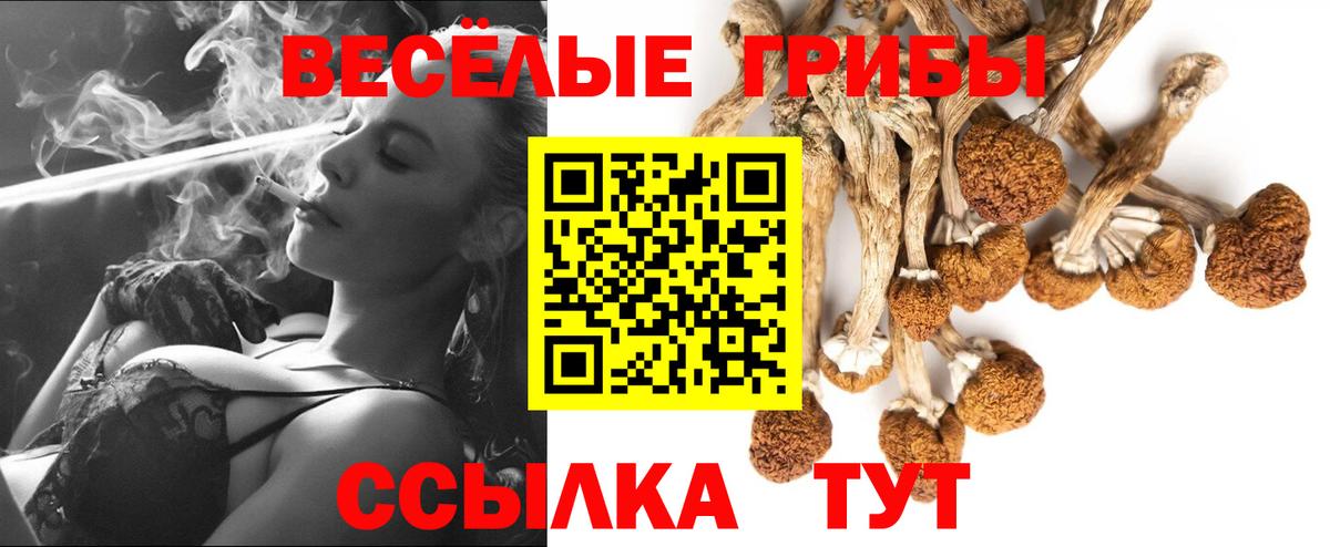 Галлюциногенные грибы Magic Shrooms Клин