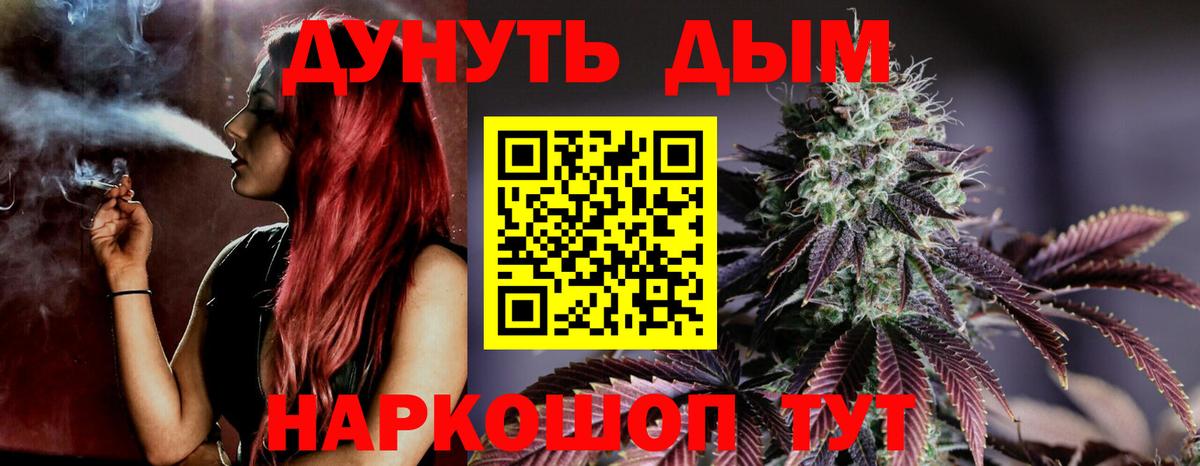 Бошки Шишки план Клин